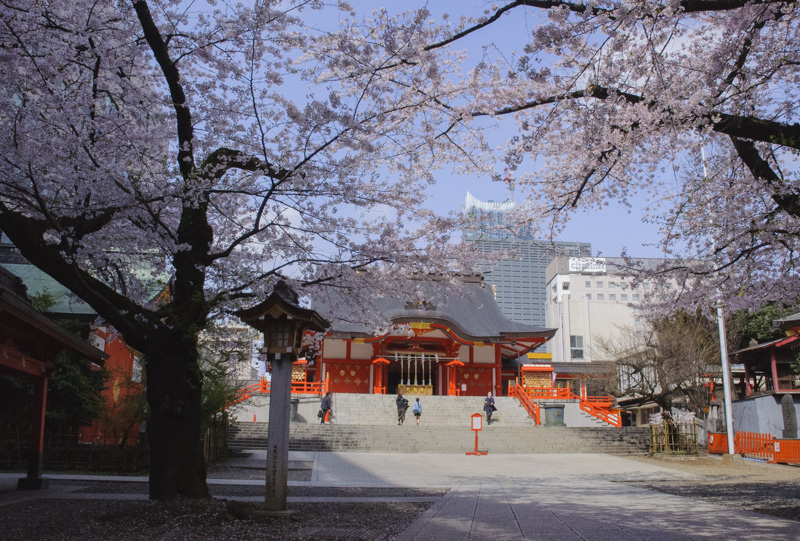 Hidden Gems in Shinjuku: Local Spots Tourists Rarely Discover