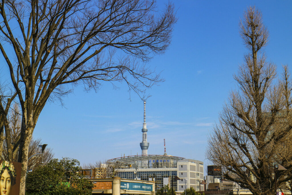 Top 10 Tokyo Landmarks Easily Accessible from Shinjuku
