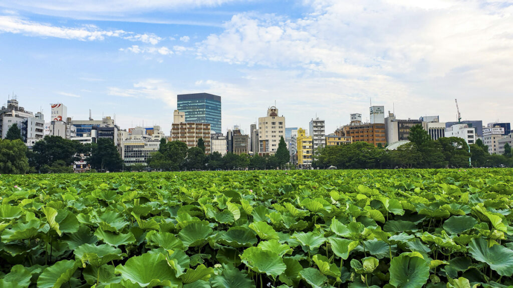 Top 10 Tokyo Landmarks Easily Accessible from Shinjuku