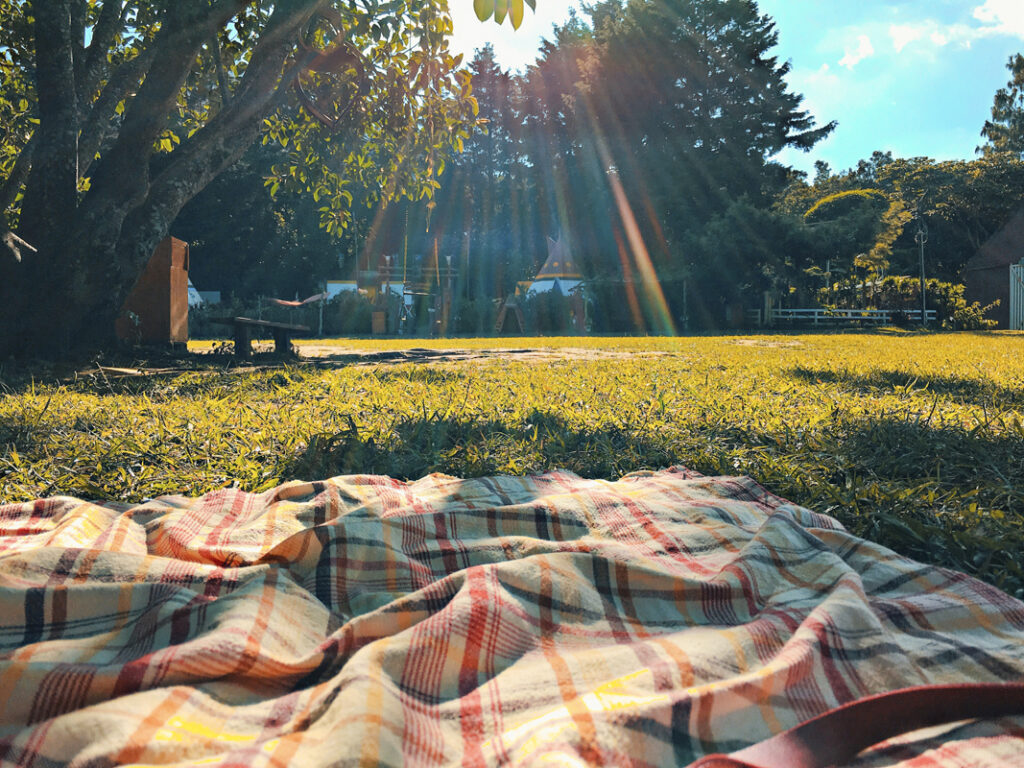 Best Picnic Spots in Shinjuku: 3 Places to Relax and Enjoy Nature in the City