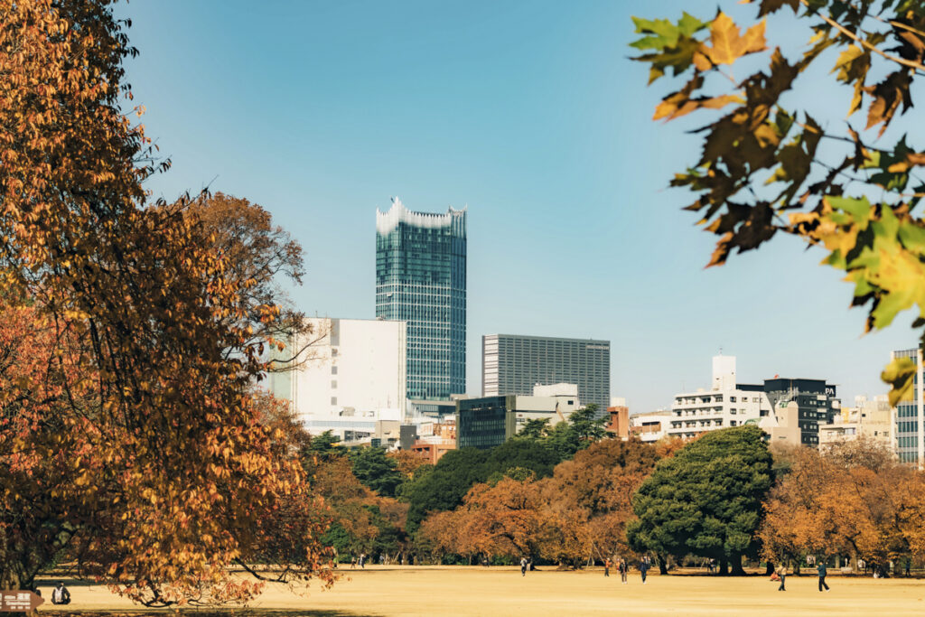 Best Picnic Spots in Shinjuku: 3 Places to Relax and Enjoy Nature in the City