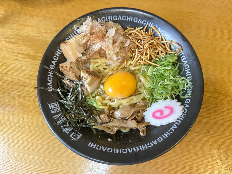 Shinjuku Abura Soba & Mazesoba Guide (2025): 8 Essential Bowls