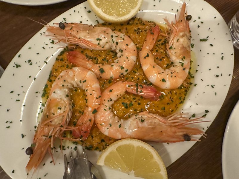 How to Spend Christmas in Shinjuku: Events, Illuminations, and Restaurant Picks