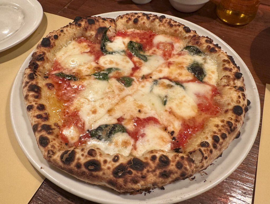 How to Spend Christmas in Shinjuku: Events, Illuminations, and Restaurant Picks