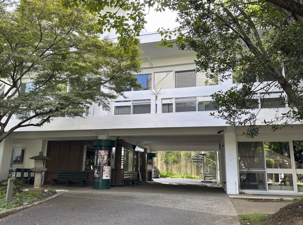 Best Bookstores in Shinjuku: From Flagship Giants to Indie Gems