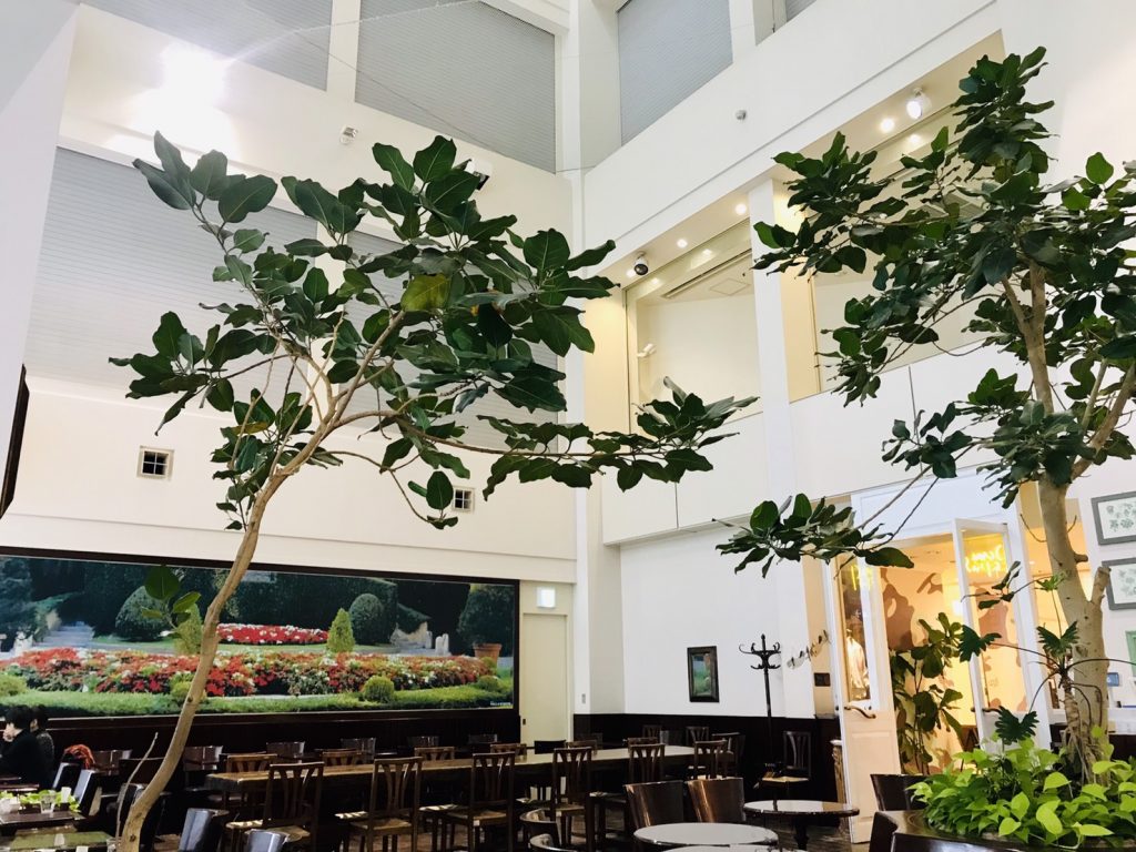 Shinjuku Underground Walkways Guide: How to Spend Time Below Ground