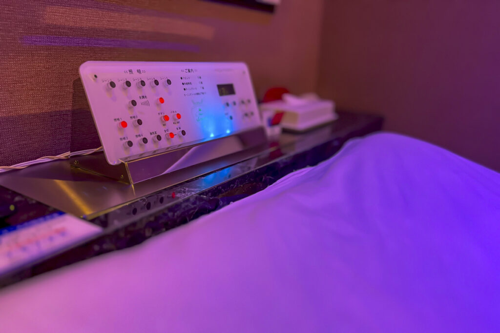 Love Hotels in Shinjuku: Purpose, Culture, and How They Differ from City Hotels