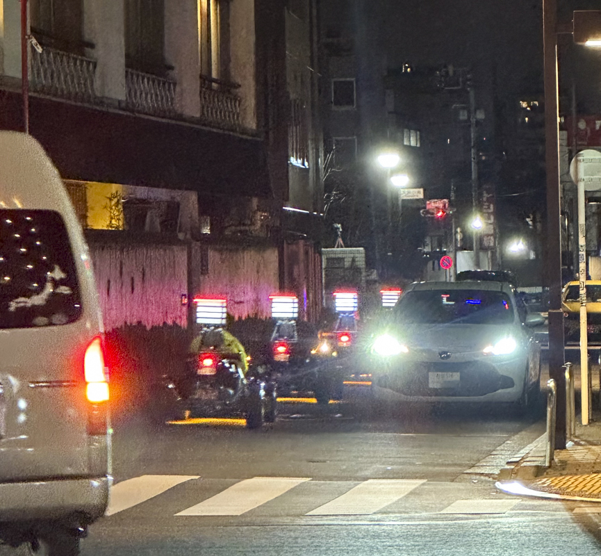 Go-Karting in Shinjuku: Public Road Kart Experiences with Real Locations