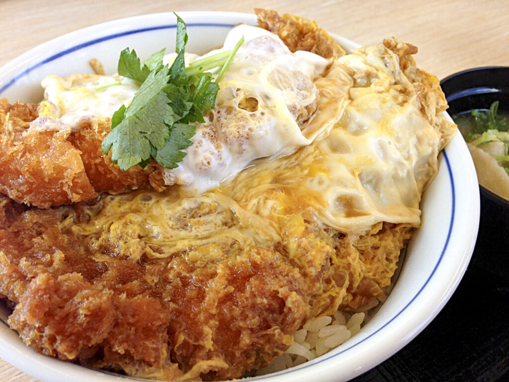 Best Katsudon in Shinjuku: Verified Restaurants by Area (2026)