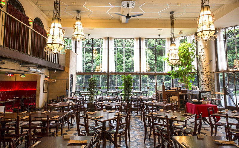 Shinjuku Gyoen Hanami Plan: Morning Coffee, Picnic Lunch, Shopping, and Dinner