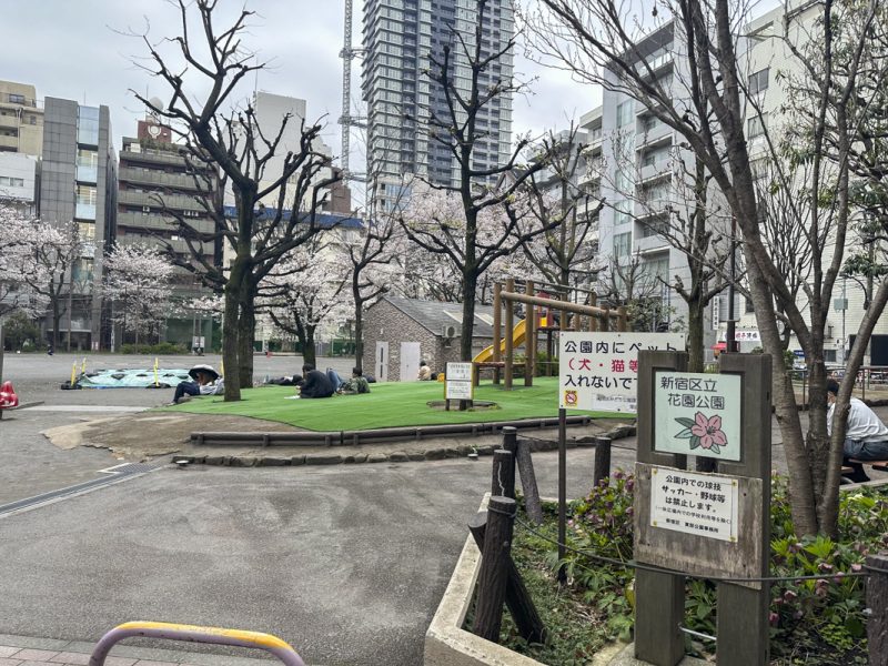 Best Cherry Blossom Spots in Shinjuku: 8 Hanami Locations (Complete Guide)