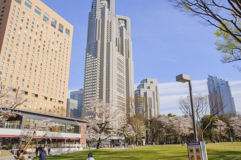 Best Cherry Blossom Spots in Shinjuku: 8 Hanami Locations (Complete Guide)