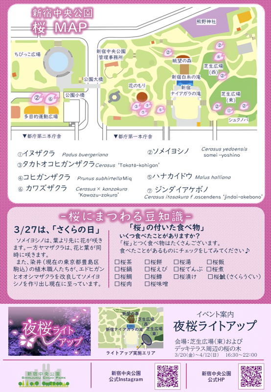 Shinjuku Central Park Night Cherry Blossom Light-Up Now On