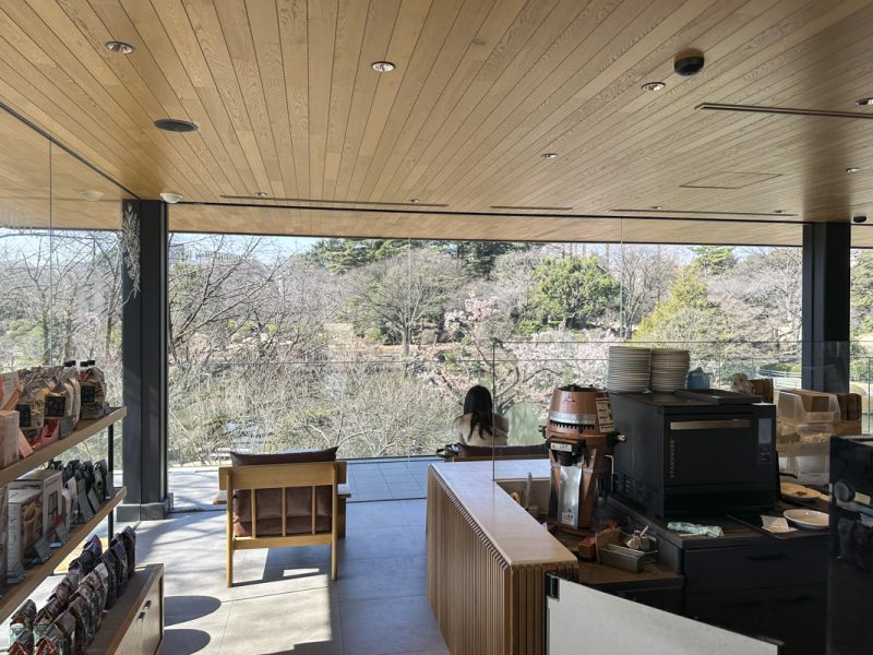 Shinjuku Gyoen Hanami Plan: Morning Coffee, Picnic Lunch, Shopping, and Dinner